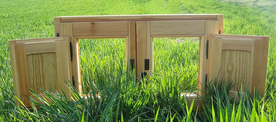 Bosque y madera